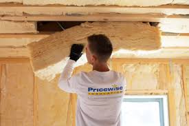 Best Eco-Friendly or Green Insulation Solutions in Vidalia, LA