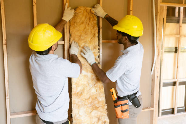 Best Attic Insulation Installation in Vidalia, LA